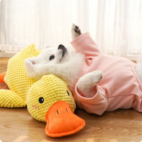 Soothing Quack Duck